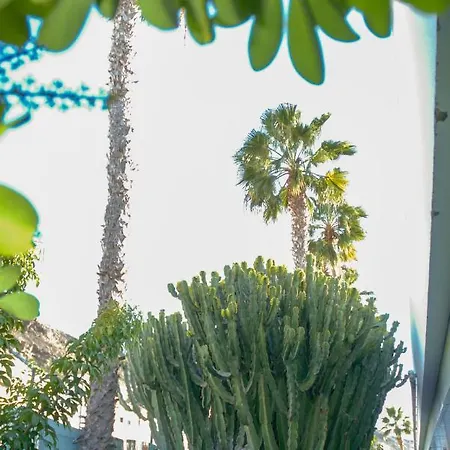Lufesa Apartment Puerto Rico (Gran Canaria)